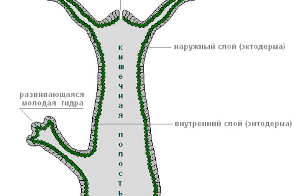 Ссылка омг сайт