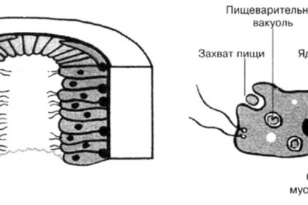 Омг омг зеркало